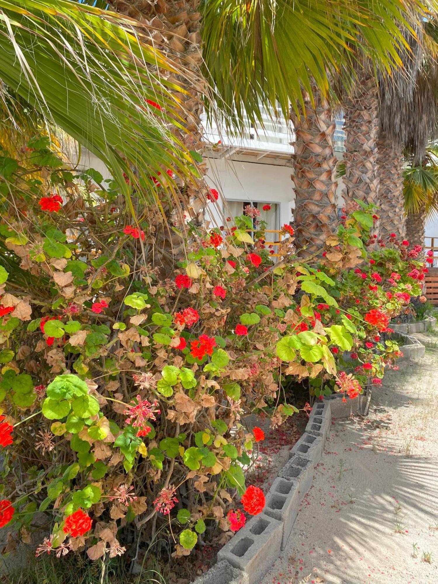 Hotel & Cabanas El Mirador Кальдера Экстерьер фото