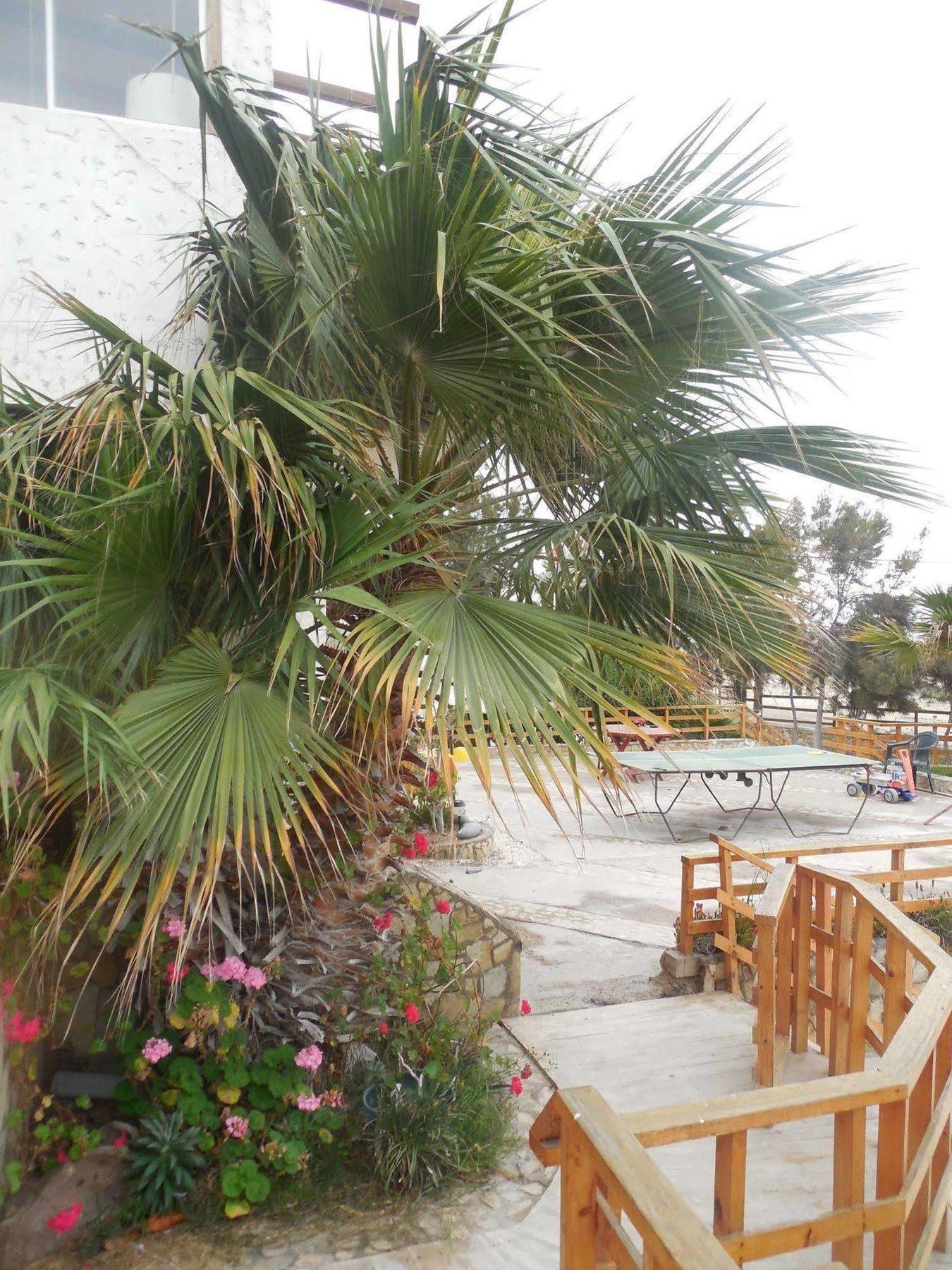 Hotel & Cabanas El Mirador Кальдера Экстерьер фото